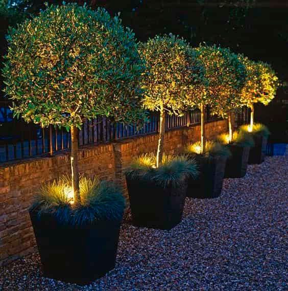iluminar tu jardín en la noches de verano