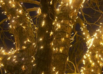 Decoración Navidad con iluminación LED