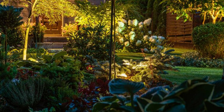 jardin iluminado por las noches